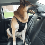 Safe Travel™ Car Harness