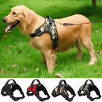 No-Choke Dog Harness