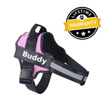 Personalized No Pull Dog Harness