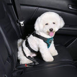 Pooch Safety™ Seat Belt