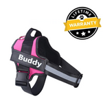 Personalized No Pull Dog Harness