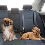 Pup Safety Belt (2 Belts In One)