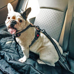 Pooch Safety™ Seat Belt