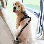 Pooch Safety™ Seat Belt