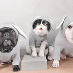 Sweater Hoodie with Bunny Ears